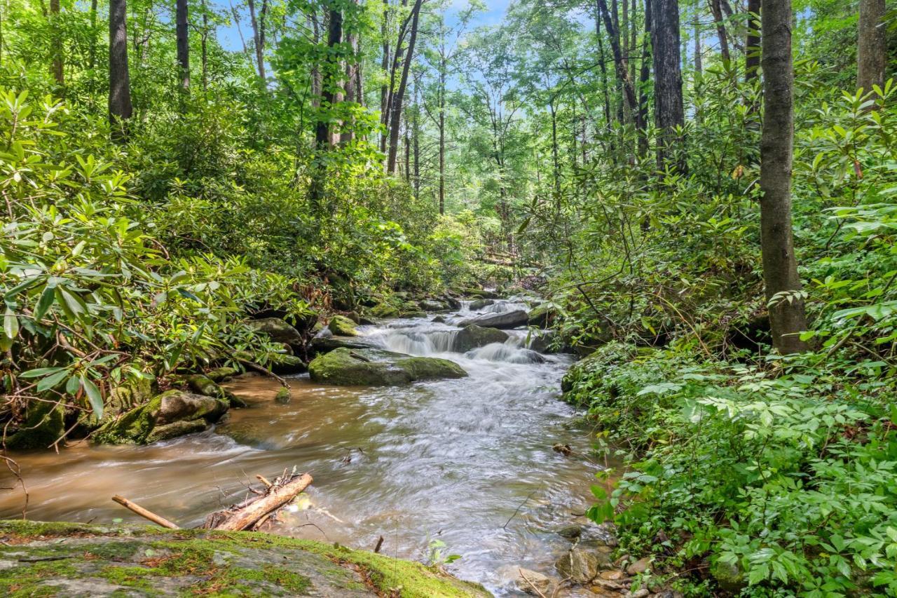 Falling Waters At Rumbling Bald Lake Lure Dış mekan fotoğraf