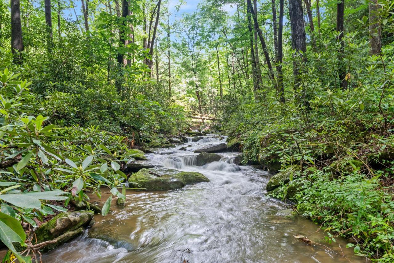Falling Waters At Rumbling Bald Lake Lure Dış mekan fotoğraf
